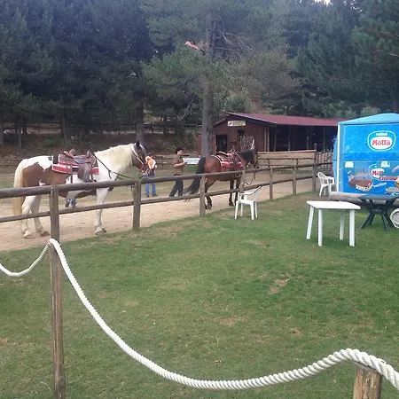 Olimpo 3*